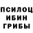 Галлюциногенные грибы GOLDEN TEACHER Yevgenii Y